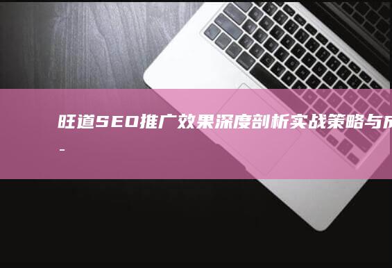 旺道SEO推广效果深度剖析：实战策略与成效评估